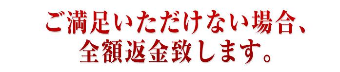 �W���W�����t�g�@����
